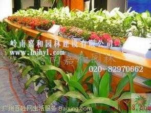 嶺南嘉和園林 科學城植物租賃與綠化養(yǎng)護的專業(yè)供應商
