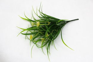 仿真花蝴蝶把花套裝 點亮客廳裝飾的創(chuàng)意壁掛藝術(shù)